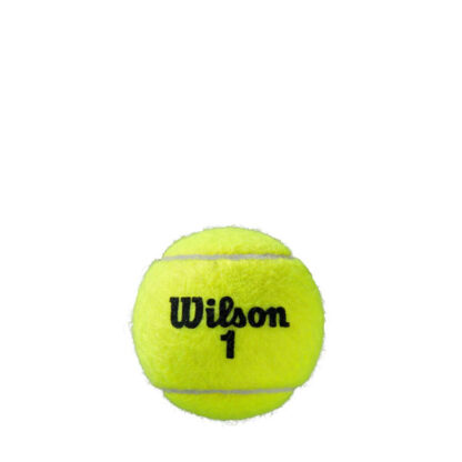 Wilson tennis ball with Wilson 1 in black writing on the ball. Wilson Roland Garros Clay tennis ball.